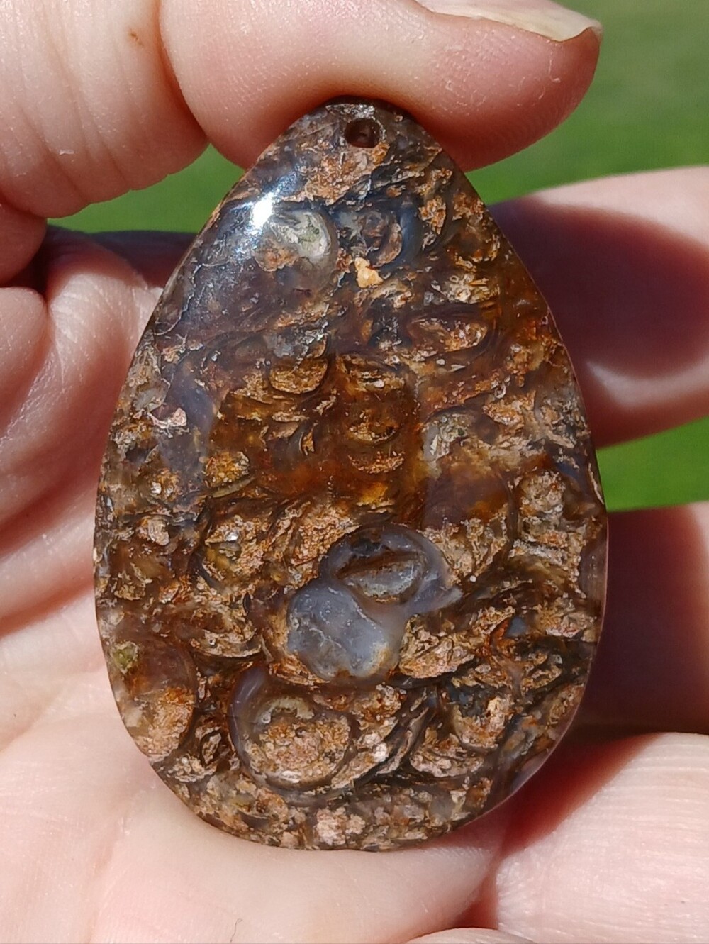 New Snail Fossils Teardrop Pendant.